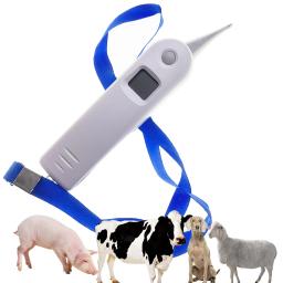 Termômetro portátil para cuidados de saúde animal, display digital, eletrônico impermeável febre retal para gado cavalo cão gato - Image 1