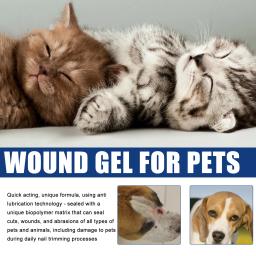 Uso externo Stop Bleeding Gel, Gelr Hemostático Pet, Gel Cura de Ferido, Rolha de Sangue de Unha de Cão, 20ml - Image 3