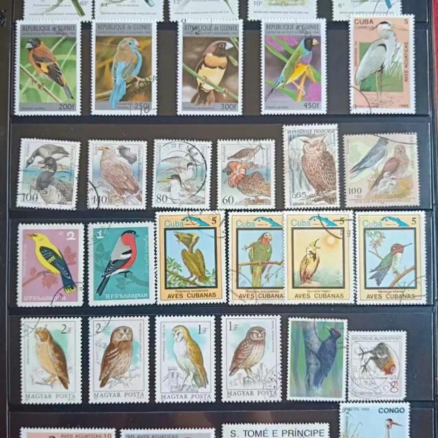 Decoração Exclusiva: Animais e Pássaros Raros em Selos Postais Estrangeiros para Presentes de Colecionador
