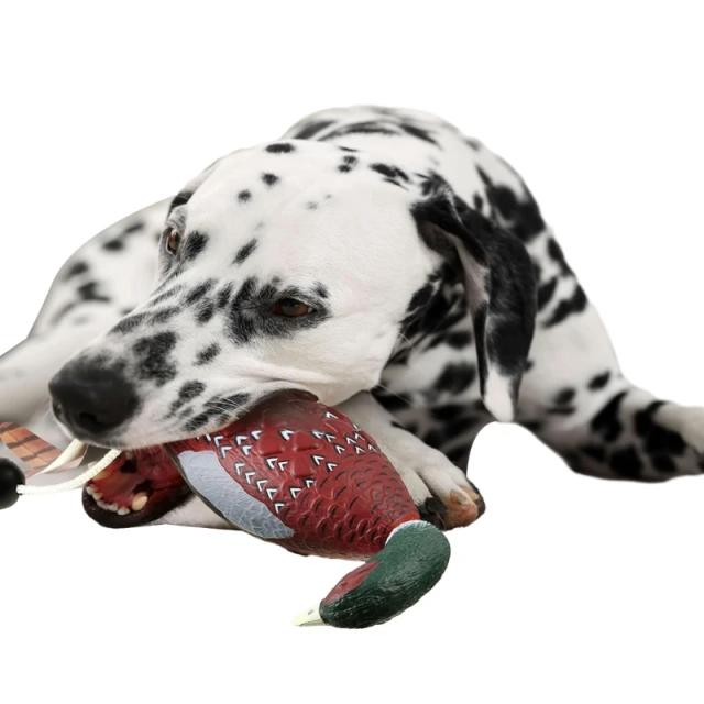 Brinquedo Interativo de Treinamento para Cães: Simulação de Pato para Entretenimento e Aprendizado