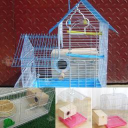 Criação De Madeira Pet Bird House, Ninho De Periquito, Budgie House, Agapornis, Papagaios, Caixa De Acasalamento - Image 4