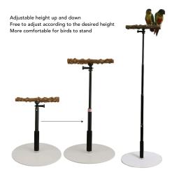 Suporte ajustável para Parrot Play, Portable Bird Perch, suporte destacável para viagens interiores e exteriores - Image 5