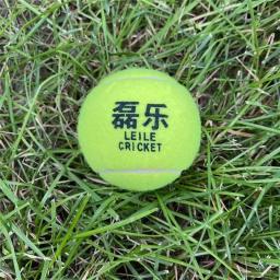 Alta Elastic Rubber Cricket Tennis Ball, Inner Villi, Indoor e Outdoor, 7 cm de diâmetro, 6 Pcs - Image 4
