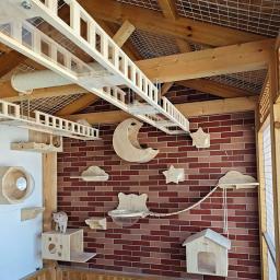 Casa na árvore de madeira para gatos, arranhando plataforma de escalada, parede, escada escadas, Kitty Gift, Pet Supplies - Image 3
