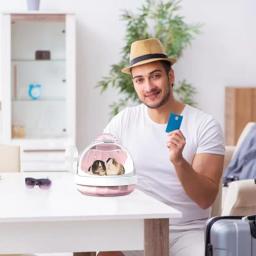 Maleta portátil de hamster, Transportadora de viagem com garrafa de água destacável, Bolsa panorâmica para viagem, Porco-da-Guiné - Image 4