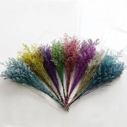 Flor natural de limônio seca real, Buquê floral decorativo, Material do arranjo, Casamento dos namorados flor preservada, Lovegrass - Image 2