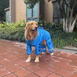 Impermeável Tudo Incluído Impermeável para Animais de Estimação, Roupa Reflexiva para Cães, Impermeável para Schnauzer, Trajes Golden Retriever, Quatro Estações, Exterior - Image 6