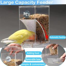 Alimentador Automático para Periquitos Pequenos e Médios, Sem Alimentadores de Pássaros, Recipiente De Alimento De Semente De Acrílico, Bebedor, Gaiola Acessórios - Image 3
