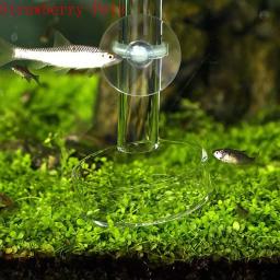 Círculo De Alimentação De Vidro Transparente Para Aquário, Alimentador De Tanques De Peixes, Alimentador De Fundo Flutuante - Image 3