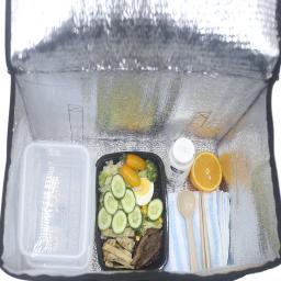 Mochila térmica isolada minimalista, dobrável, portátil, comida e bebida, piquenique, camping, impermeável - Image 3
