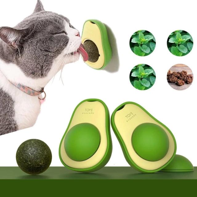 Erva Gato Natural Catnip: A Satisfação que Todo Gato Merece