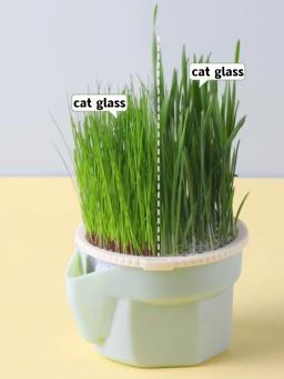 Projeto Hierárquico Cat Grass Cultivo Cup com Soilless Cultivo Reutilizável Catnip Growing Container Seed Germination Bandeja - Image 5