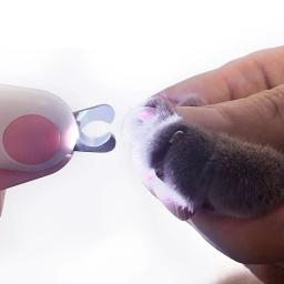 Profissional máquina de cortar unhas do cão led luz pet corte tesoura para animal de estimação gato do cão aparador de unhas tesoura pet grooming ferramentas - Image 4