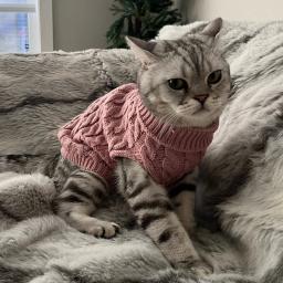 Roupas tricotadas para cães pequenos, camisola chihuahua, roupas quentes de inverno, camisola do gato da esfinge para York - Image 2