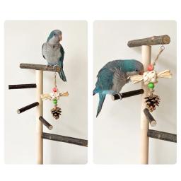 Bird Playground Natural Wood Perch Stand com Bandeja De Aço Inoxidável, Bird Ladder, Alimentando Cup, Bird Supplies, Bird Acessórios - Image 3