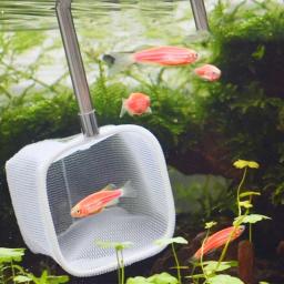 Rede de pesca para acessórios de aquário de rede ultrafina para mini peixes e camarões - Image 2