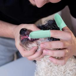 Silicone Finger Pet Toothbrush Escovas de dentes super macias para cães Ferramenta de limpeza de dentes Mau cuidado da respiração Nontoxic Cat Cleaning Supplies - Image 5