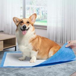 Super Absorvente Dog Training Toilet, Almofada Descartável, Almofada De Fraldas Saudável, Textura Suave, Cão Masculino, Alta Qualidade, 20Pcs, 50Pcs, 100Pcs - Image 1