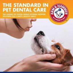 Pet Limpeza Kit Ferramentas, Dog Gum Care Products Kit, Reduz Placa e Tártaro Builder, Creme Dental Universal, Conjunto Escova - Image 6
