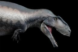 PNSO-Mila the Mapusaurus Model for Kids, Animal Pré-Histórico, Colecionador de Dinossauros Carcharodontosaurus, Decoração Realística, Brinquedo Educativo, 68 - Image 4