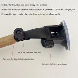 Wooden Parrot Perch Stand com ventosas para aves pequenas e médias, Evitar deslizamento, Interactive Window Perch - Image 6