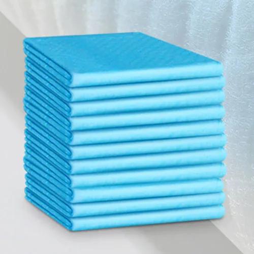 Super Absorvente Dog Training Pee Pads, fralda de cachorro, fralda descartável para animais de estimação, saudável e limpo, suprimentos para fraldas, 10PCs - Image 1