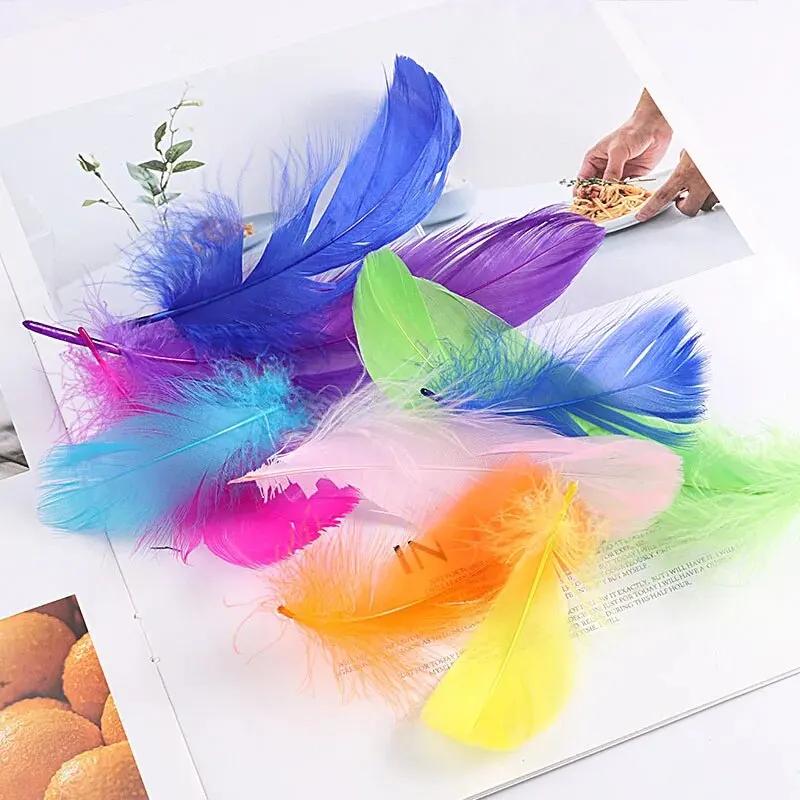 Penas de Ganso para Artesanato, Plumas De Cisne, Festa De Casamento, Decoração De Acessórios Artesanais, Penas Do Apanhador De Sonhos, 8-12cm, 100Pcs - Image 1