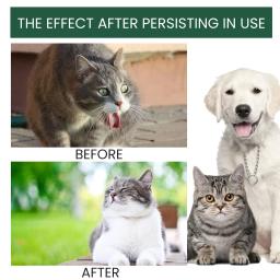 Suplementos de saúde para cães e gatos, Multi vitamina, Melhore a aptidão física, Proteger gotas para cuidados bucais do estômago, Remoção de mau hálito - Image 5