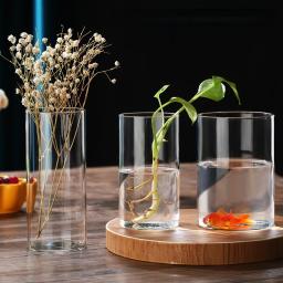 Vaso De Vidro Transparente De Tubo Reto Ecológico, vaso De Flores De Borosilicato Alto Criativo Paisagem, Decoração De Casa - Image 2