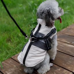 Casaco impermeável com arnês, roupa quente para animais, casaco para cães pequenos e grandes, chihuahua, roupas de buldogue francês, inverno - Image 5