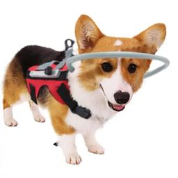 Arnês para cães cegos para animais de estimação, Dispositivo orientador, Arnês de halo para gatos, Pet Vest Ring para cães cegos ou animais visualmente impedidos para evitar cães cegos - Image 1