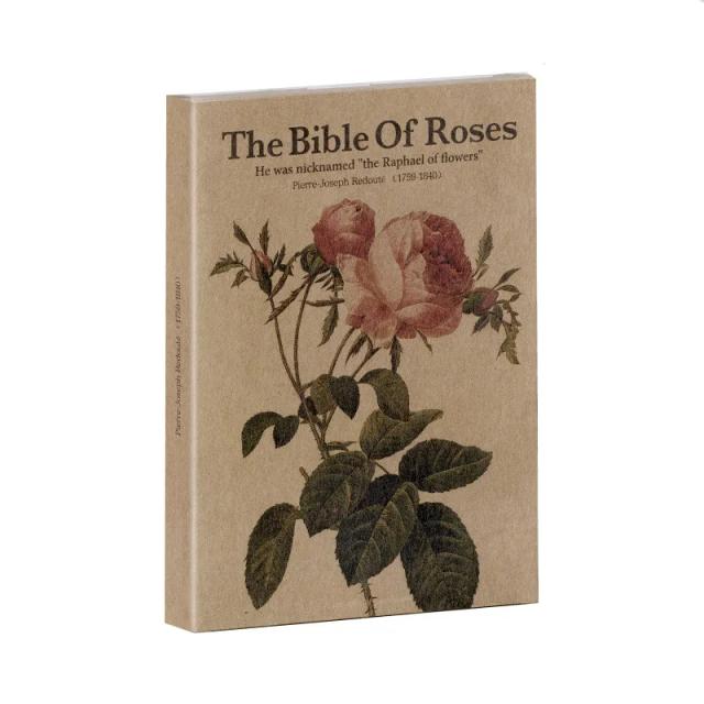 Cartão Postal Vintage Rose Art em Papel Kraft com Adesivos Decorativos - 1 Caixa Completa