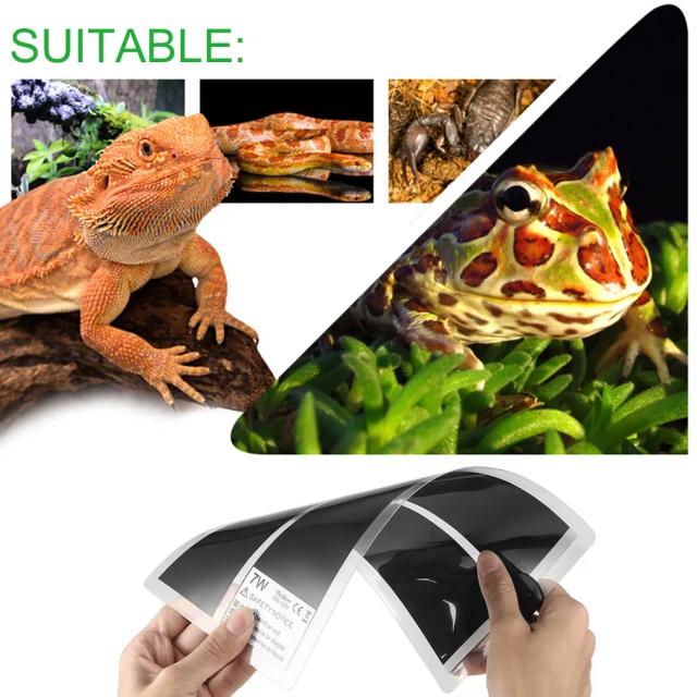 Almofada de aquecimento impermeável para répteis com controlador de temperatura 110V e 7W para animais de estimação