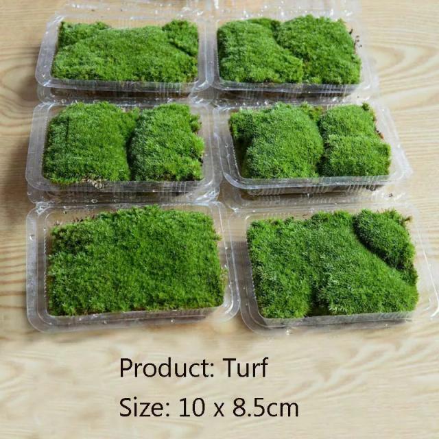 Tapete de Grama Artificial 10x8.5cm - Simulação de Musgo Verde para Micro Paisagens e Decoração DIY em Casa