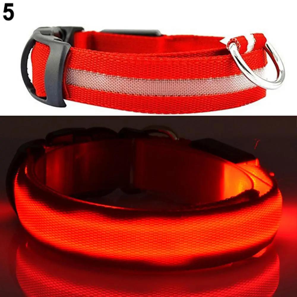 Coleira anti-perdida LED brilhante para animais de estimação, luz luminosa noturna, coleiras, colar de segurança, cães pequenos, médios e grandes - Image 1