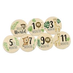 Cartões Milestone Mensais de Madeira para o Crescimento do Bebê, Rodada Photo Prop, Discos para o Crescimento Recém-nascido, 1 a 12 Meses, 7Pcs - Image 5
