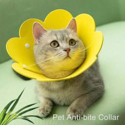 Colar protetor ajustável para animais de estimação, colar protetor, confortável, florido, capa criativa, 1 pc - Image 4
