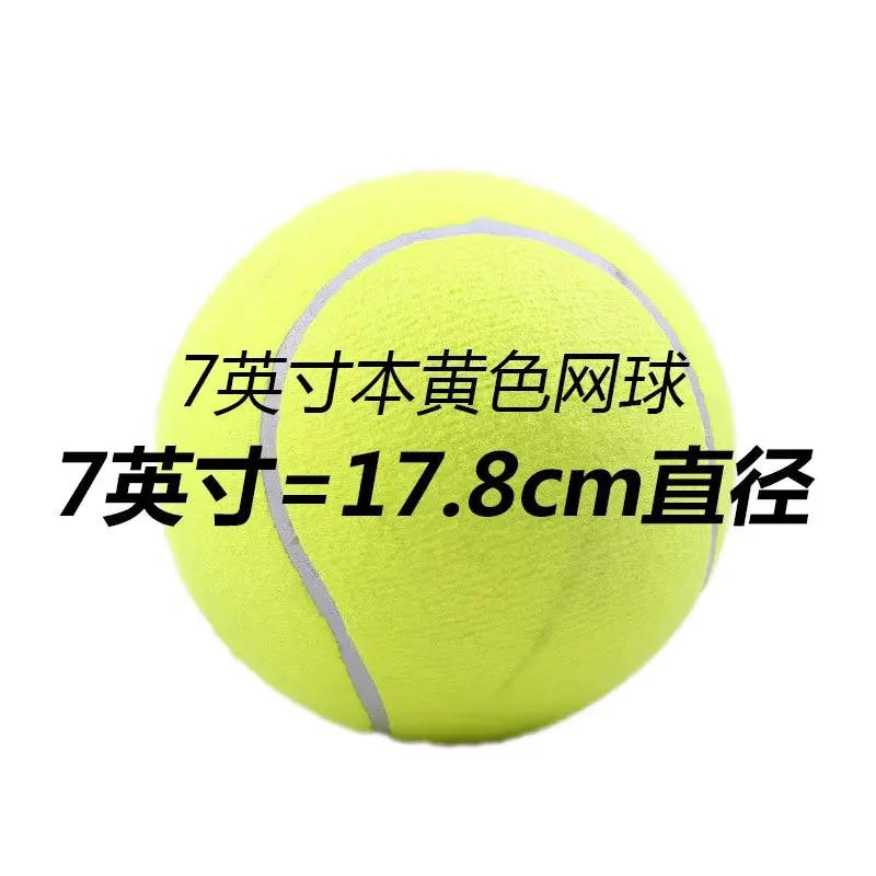 Bola de tênis inflável gigante para cachorro, Chew Toy, Pet Dog Brinquedos interativos, Big Cricket Supplies, ao ar livre, 24cm - Image 1