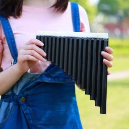 IRIN-Pipes with Protable Storage Box, flauta multi-tubos, instrumento musical de sopro de madeira para estudantes, crianças, iniciantes, presentes, 16 tubos - Image 1