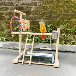 Suporte de poleiro para playground de pássaros, copos de alimentação, escada de escalada, suporte para papagaio, exercício playgym para periquito, calopsita loveb - Image 2