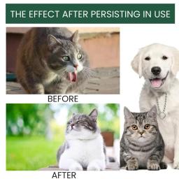 Pet Probióticos Gotas para Cães e Gatos, 60ml, Não Gorduroso, Suave, Digestão, Enzima, Profissional, Saúde, Suporte, Aditivo - Image 4