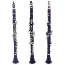 SLADE 17 teclas clarinete bb tubo profissional para performance de concerto clarinete com kit de limpeza de clarinete peças e acessórios - Image 2