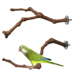 Wood Parrot Bird Stand, Ramo De Árvore, Brinquedos Pendurados, Poleiros De Gaiola, Pet Budgie - Image 1