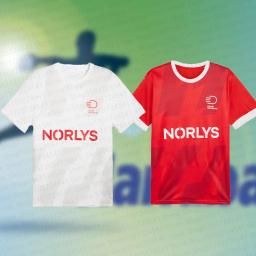 Camisola dinamarquesa de handebol infantil, t-shirt de treino, conjunto especial, verão, novo, 2024 - Image 1