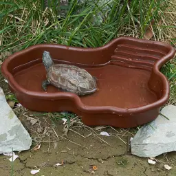 Banheira de tartaruga grande para répteis, piscina, acessórios para anfíbios com rampa, tigela de água para tartaruga, hamster, escorpião - Image 1