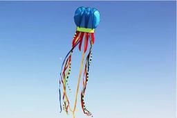Jellyfish Flying Nylon Line para adultos, pipas voadoras gigantes, equipamentos de windsurf, frete grátis, 8m - Image 4