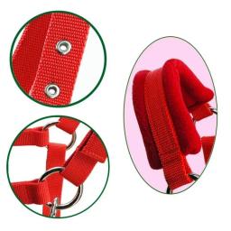 1pc macio acolchoado pônei cavalo halter brida headstall cabeça colar acessórios de equitação ergonômico confortável sem encaixe halteres - Image 5