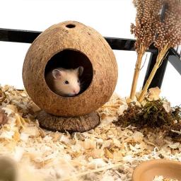 Gaiola de Hamster Pequena Resistência a Arranhões, Casa Simples do Hamster, Ninho de Animal, Cobaia, Casca de Coco, Esconderijo Pequeno - Image 3