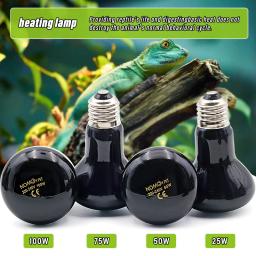 Animal de estimação lâmpada aquecimento e27 noite lâmpada para anfíbio cobra lâmpada calor réptil lâmpada luz uv 25w 50 75 100 AC220-240V - Image 2