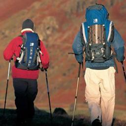 Bastão de caminhada de liga de alumínio Telescópico Bastão de montanhismo Auxiliar de mobilidade portátil Bastão anti-choque Pólo para mochila Camping - Image 2